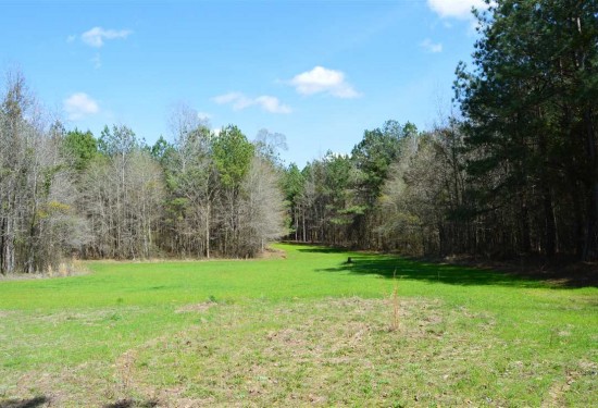 723 Acres of Land for Sale in montgomery County Mississippi
