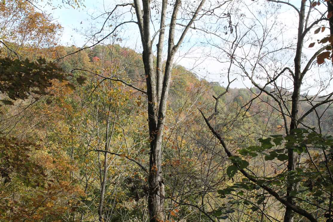 140 acre recreational/hunting paradise on Hix Hollow Road, Jackson County, TN Real estate listing