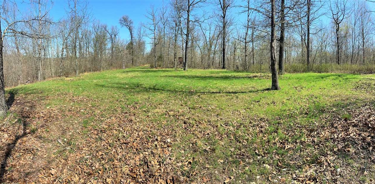 mcdonald County, Missouri property for sale