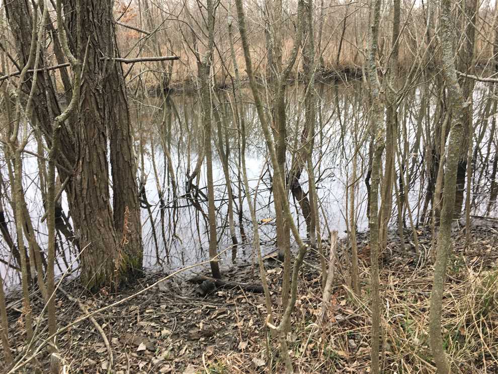 88.68 Acres of Recreational land for sale in Coffeyville, montgomery County, Kansas