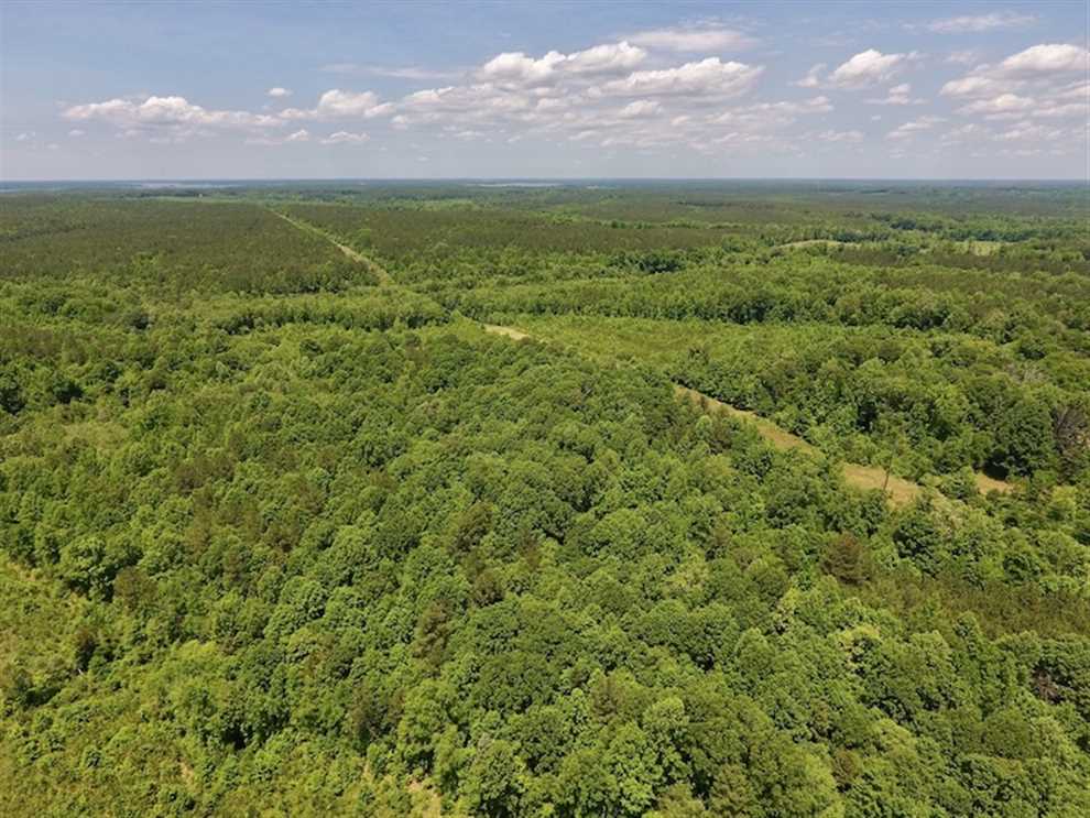 Land for sale to buy in 27553 zip code