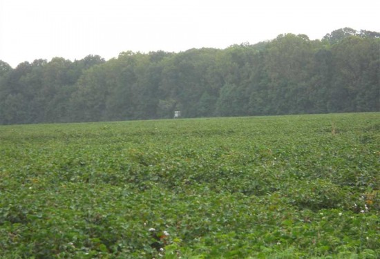 450 Acres of Land for Sale in adams County Mississippi