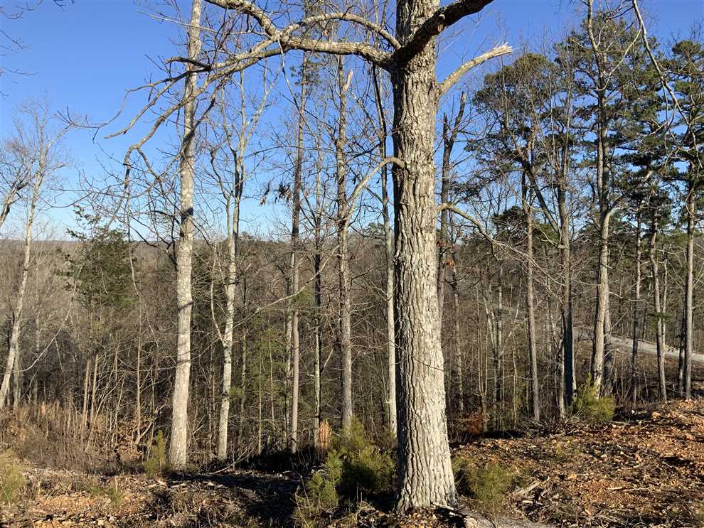 property for sale on The Land Market