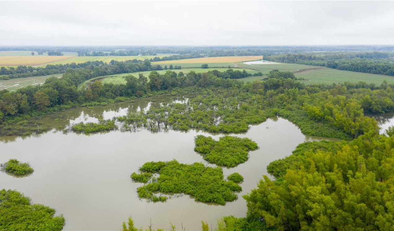 75 Acres of Land for Sale in jackson County Arkansas