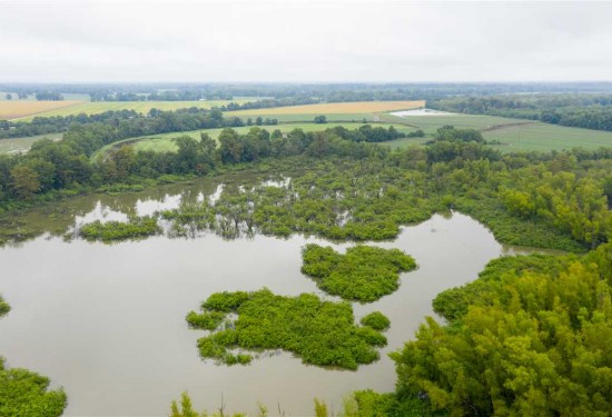 75 Acres of Land for Sale in jackson County Arkansas
