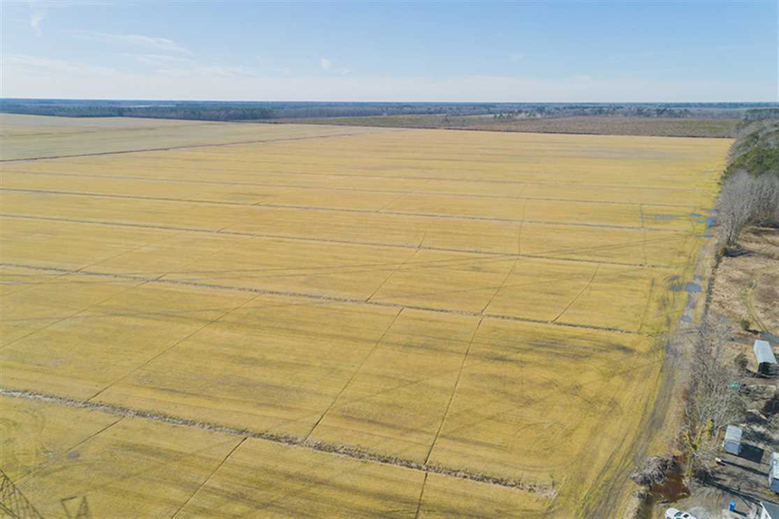 141.45 Acres of Residential land for sale in Chesapeake, chesapeake city County, Virginia