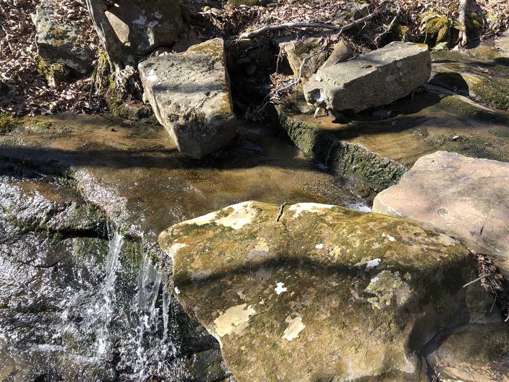 15.74 Acres of Land for sale in cleburne County, Arkansas