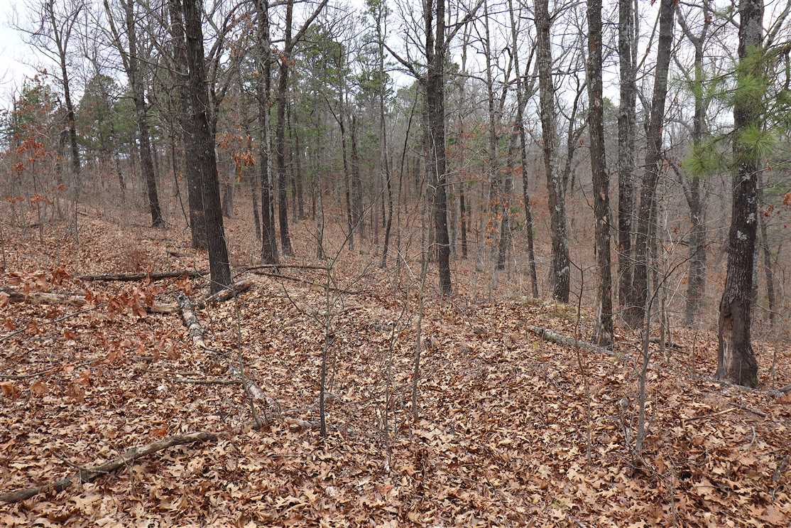 property for sale on The Land Market