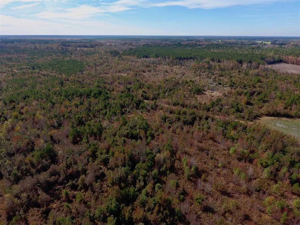 162.49 Acres of Land for sale in craven County, North Carolina