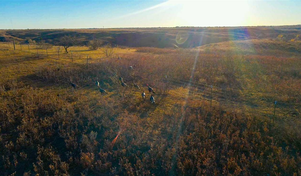 property for sale on The Land Market