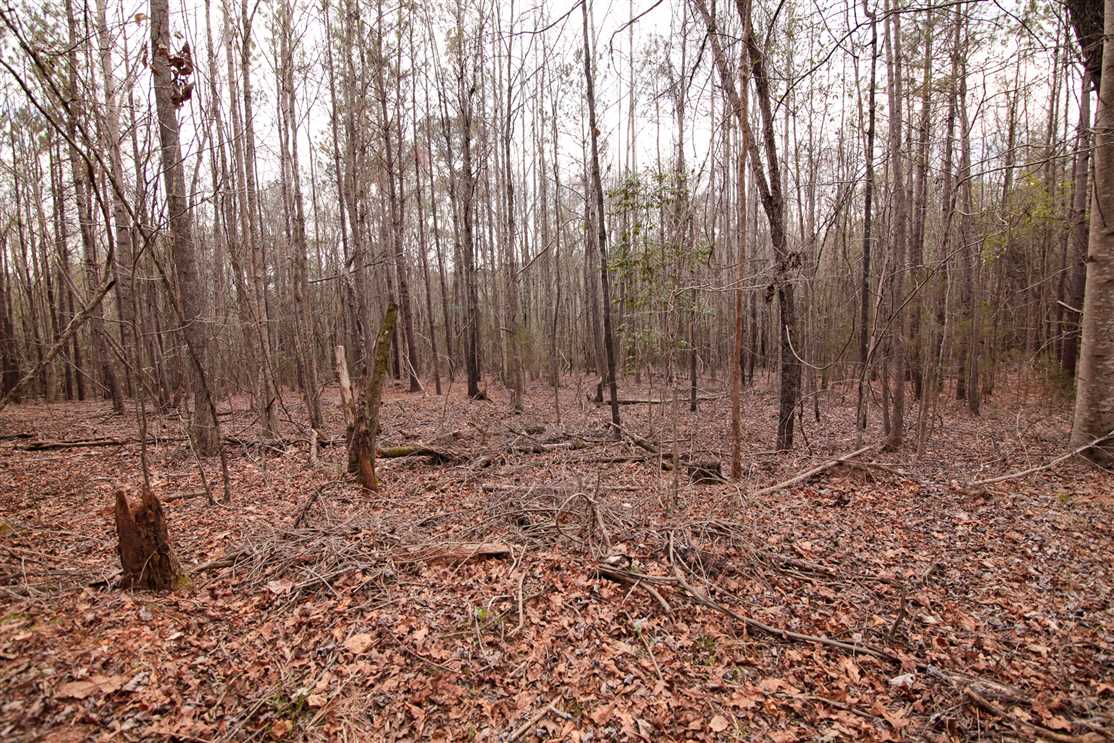 Houses and land for sale in Alabama