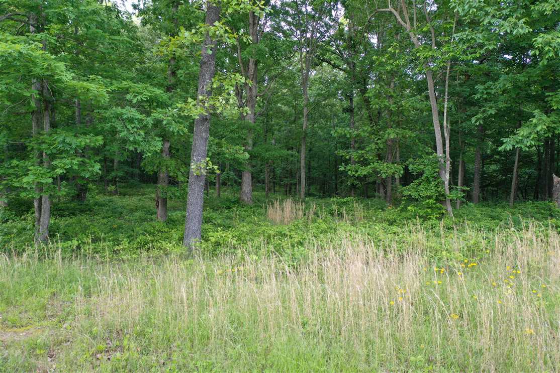 Land for sale at 0 Deer Grass Lane Lot 54