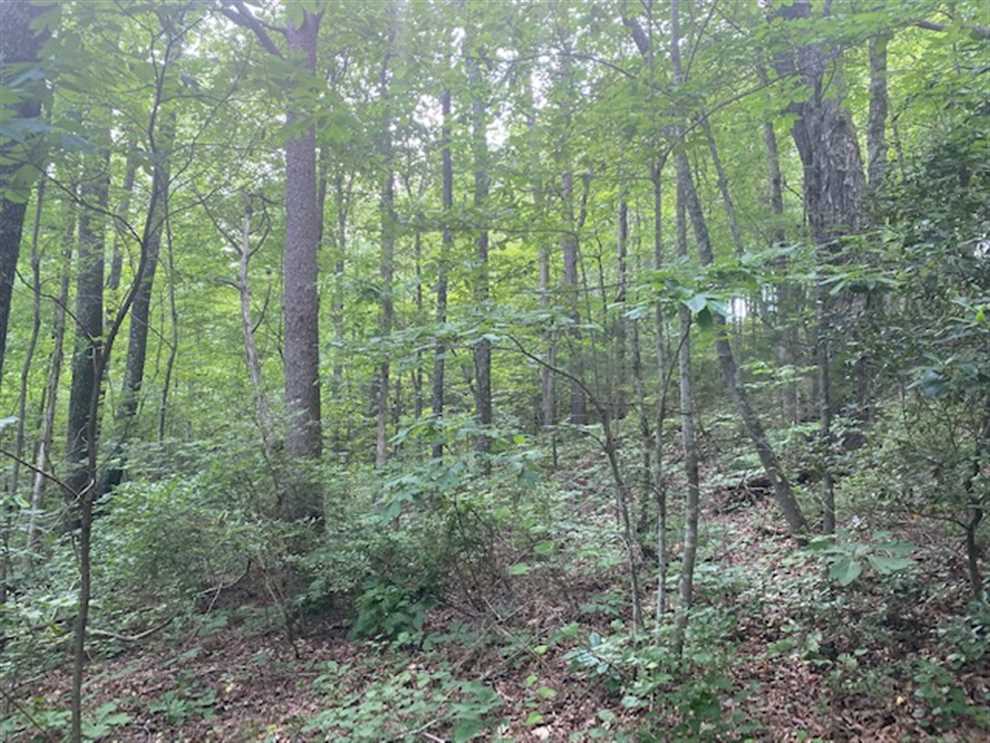 50.4 Acres of Residential land for sale in Spencer, van buren County, Tennessee