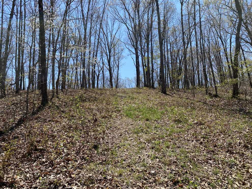 60 Acres of Land for sale in morgan County, Missouri
