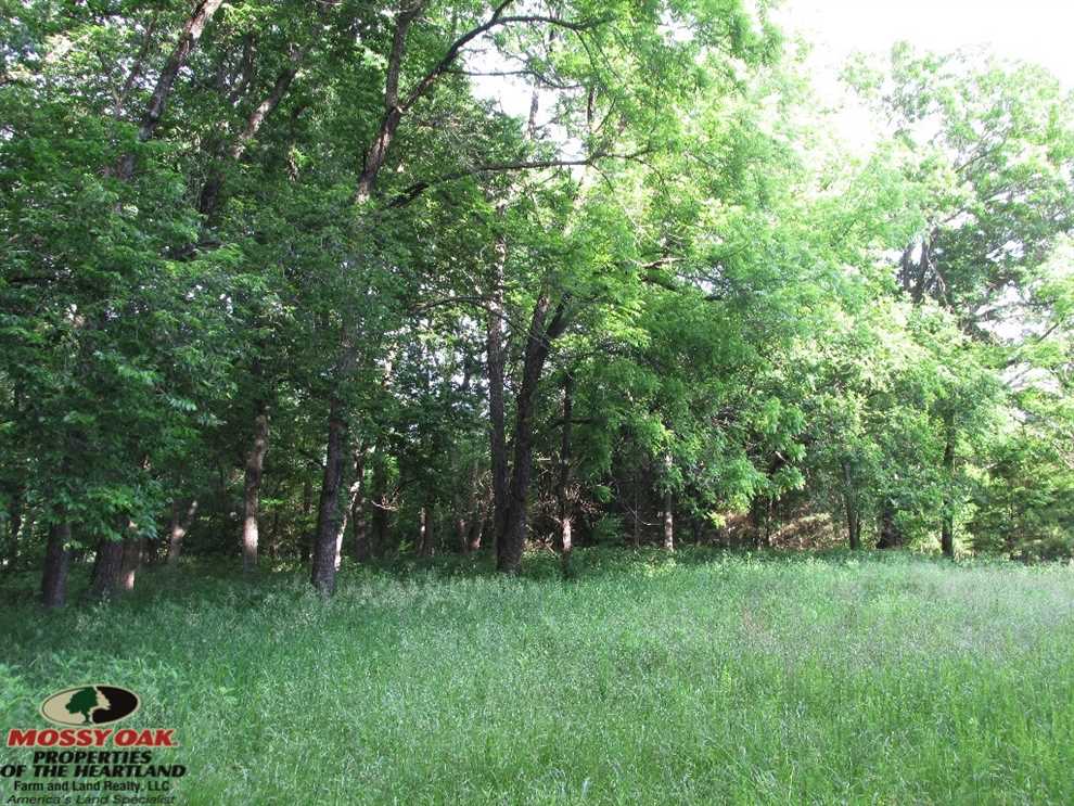 Land for sale to buy in 67347 zip code