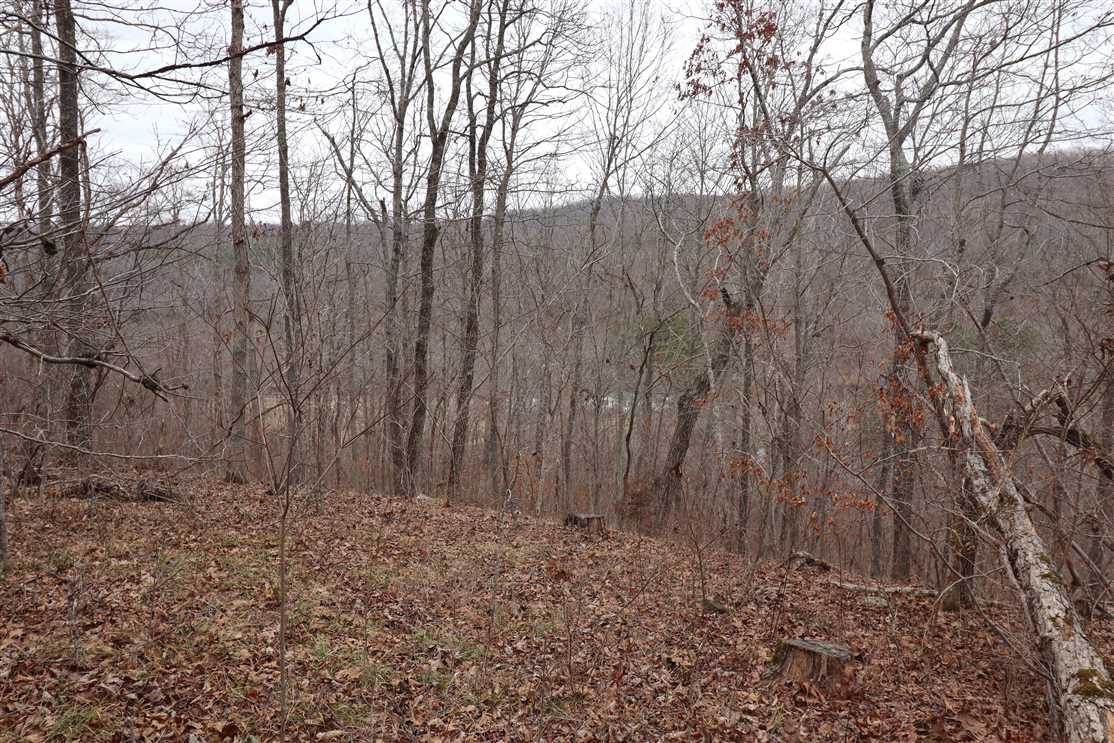 Timberland real estate available to buy