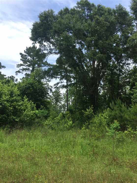 Property for sale at Sand Lake Road
