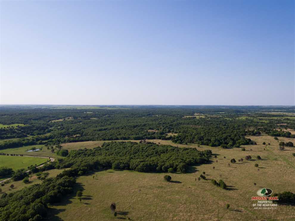 Timberland real estate available to buy