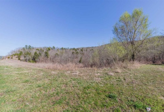 16 Acres of Land for Sale in carter County Missouri