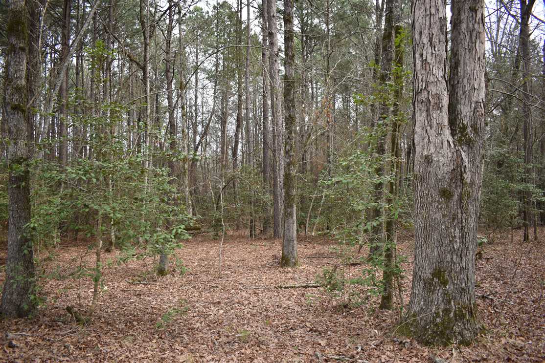 Property for sale at