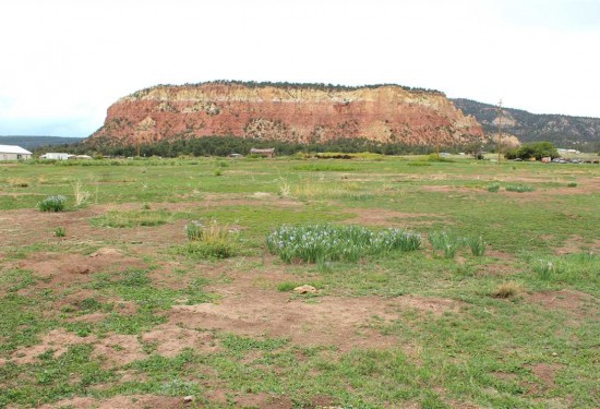 34 Acres of Land for Sale in rio arriba County New Mexico
