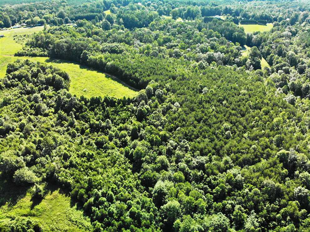 110.97 Acres of Land for sale in stokes County, North Carolina