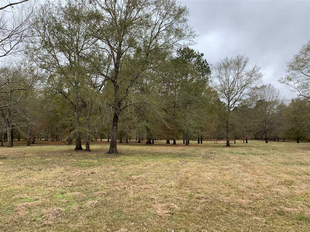 Lot 18 at Loch Lomond, Union Parish, 5 Acres +/- Real estate listing