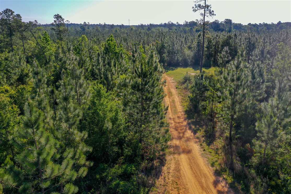 558 acre hunting property for sale in Escambia County, Alabama. Real estate listing