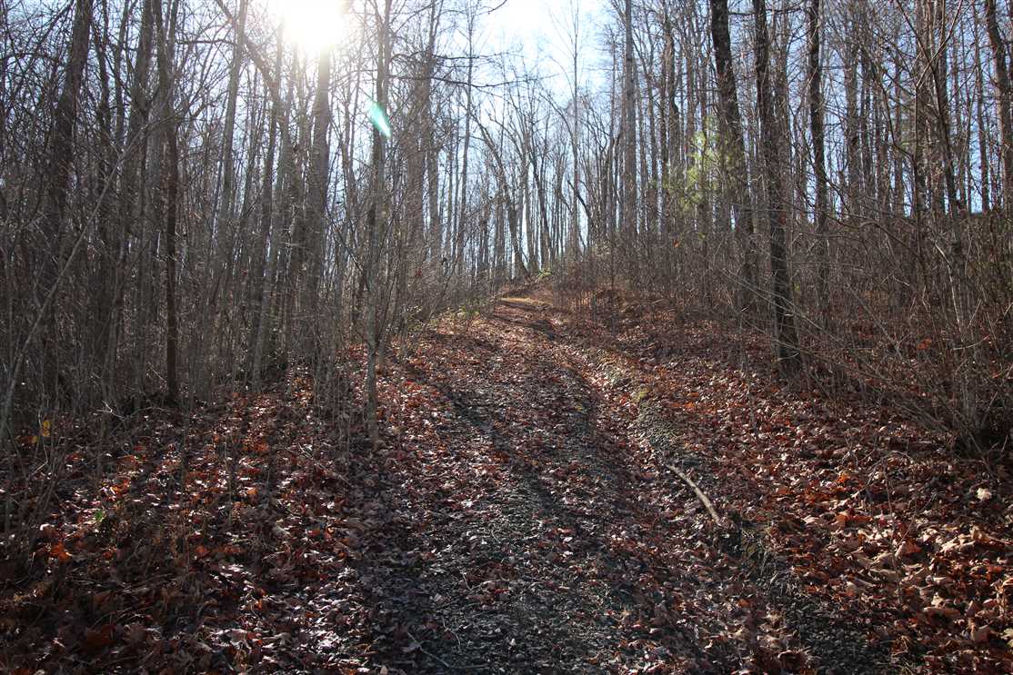 property for sale on The Land Market