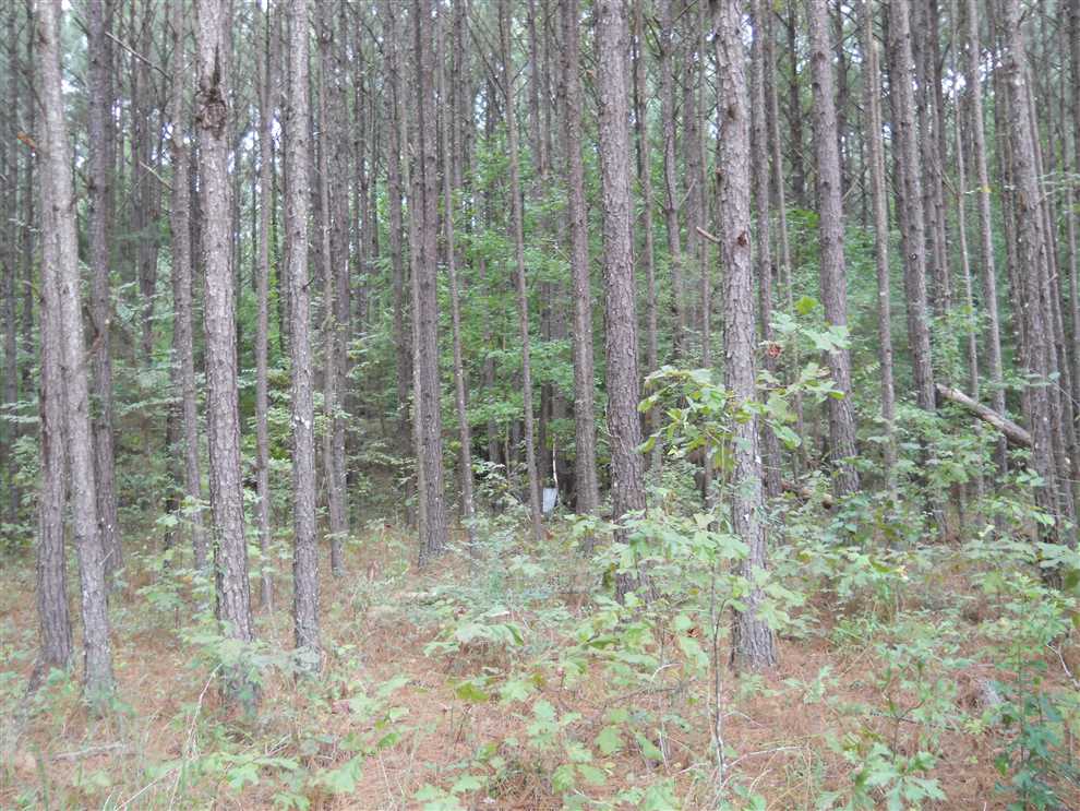 450 +/- acres. Row Crop and Timberland in Adams County, Mississippi Real estate listing