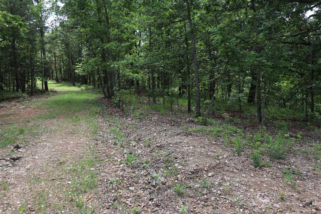 Timberland real estate available to buy