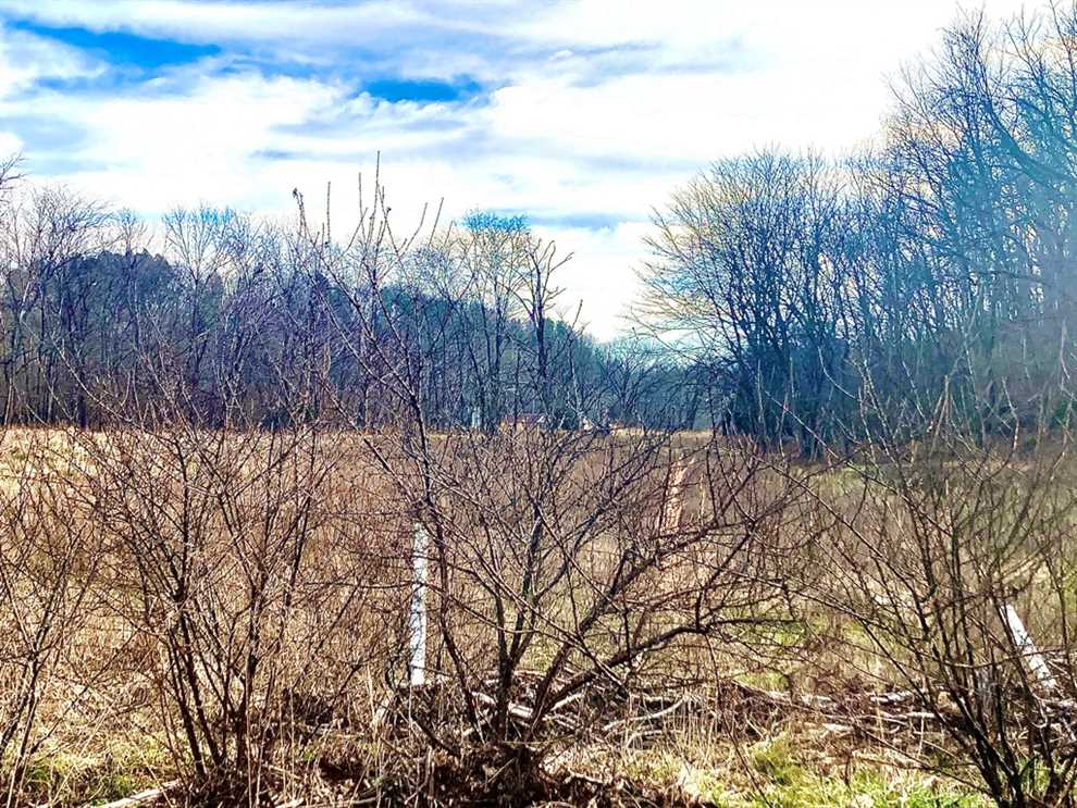 Land for sale at