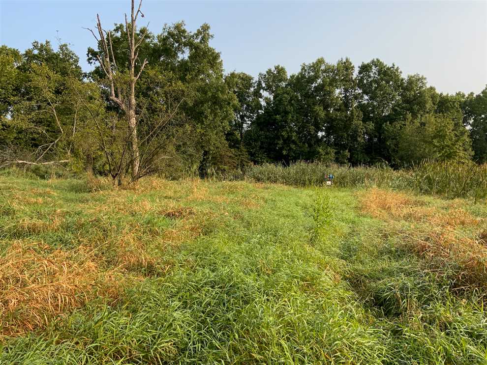 30.59 Acres of Recreational land for sale in Warren, trumbull County, Ohio