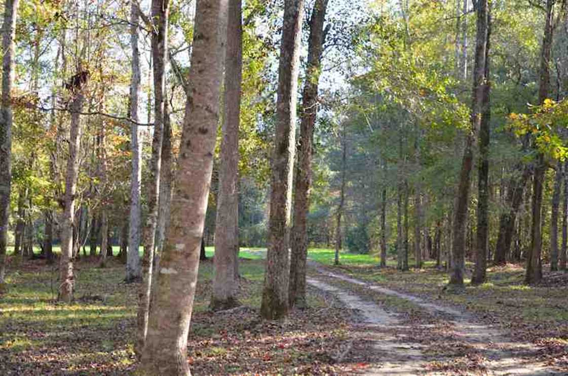 78.34 Acres of Land for sale in florence County, South Carolina