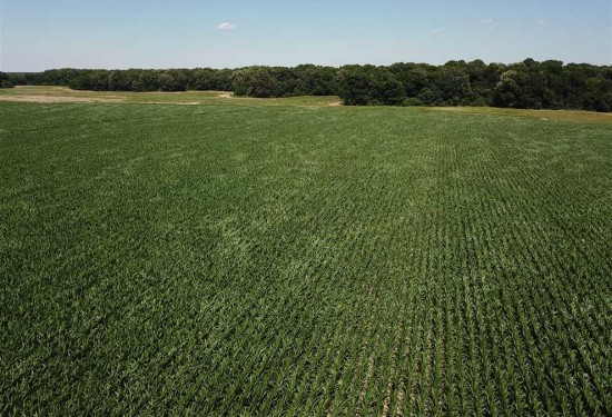 90 Acres of Land for Sale in arkansas County Arkansas