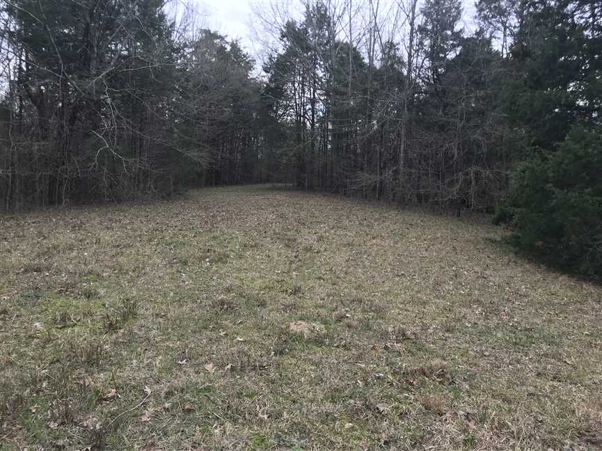 Land for sale at Highway 50 East
