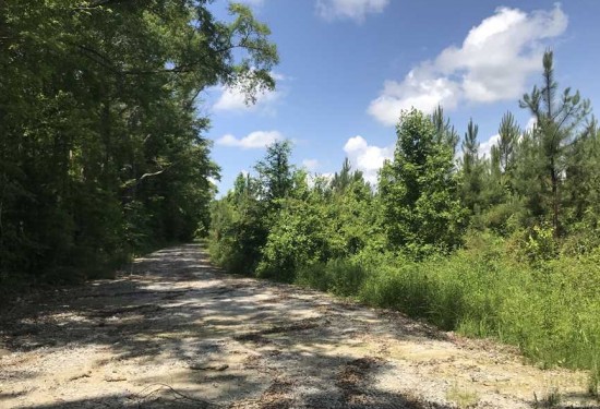70 Acres of Land for Sale in sumter County Alabama