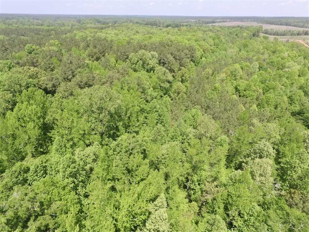 13.2 Acres of Residential land for sale in Lawrenceville, brunswick County, Virginia