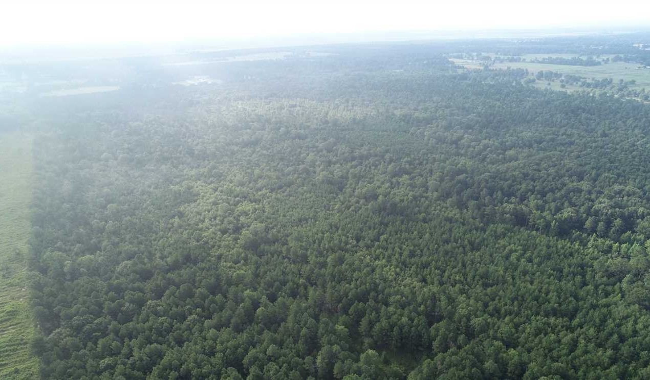 Boggy Creek Timber and Hunting Tract, Miller County, AR, 358 Acres +/- Real estate listing