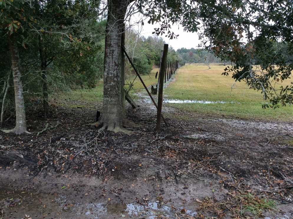 100 Acres of Recreational land for sale in Sulphur, calcasieu County, Louisiana