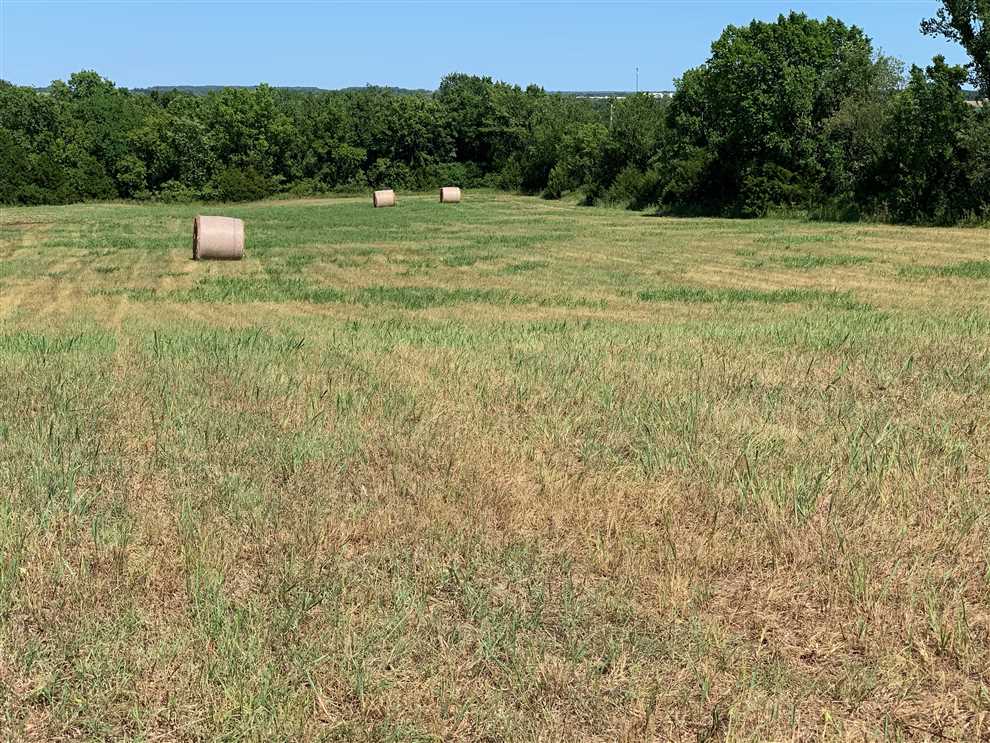 Timberland real estate available to buy