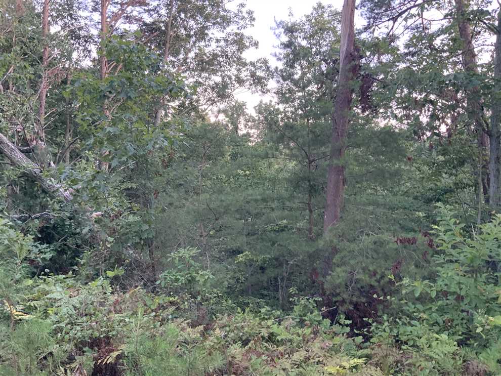 Residential and   property for sale on The Land Market