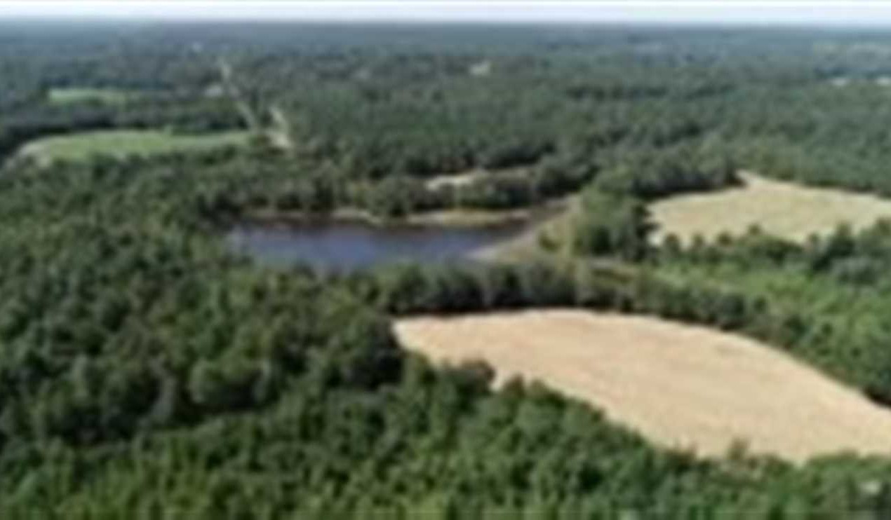 Recreational land real estate to buy in itawamba County MS