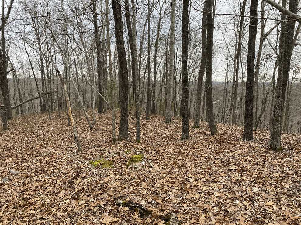Land for sale to buy in 72533 zip code