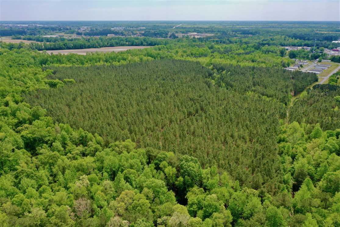 Houses and land for sale in North Carolina