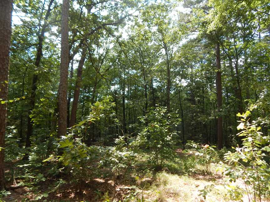 Property for sale at 000 Creekside Dr.
