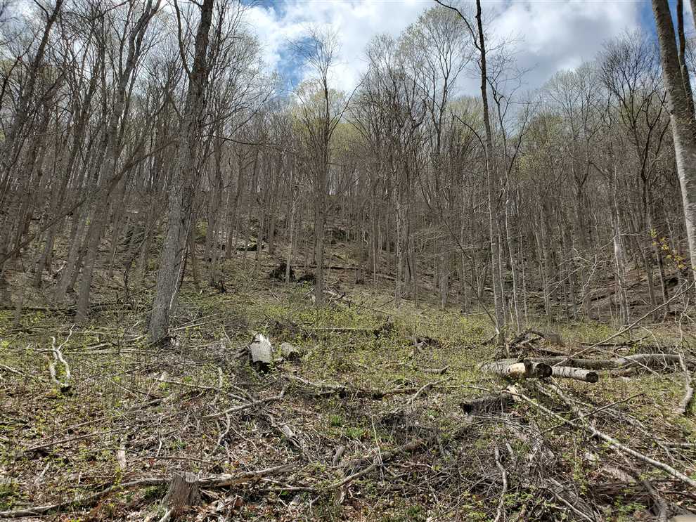 Land for sale at near 1637 Claybank Road