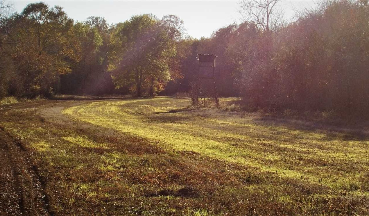 2 Palmetto Hunting Club - Two Equity Ownerships, Bossier Parish, 1,640 Acres +/- Real estate listing