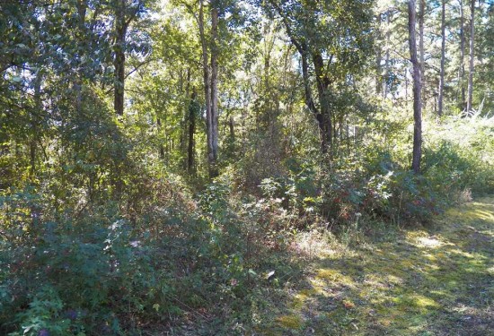 7.54 Acres of Land for Sale in van buren County Arkansas