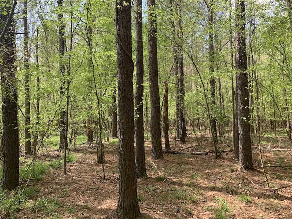 Land for sale to buy in 27856 zip code